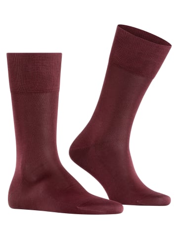 Falke Socken Tiago in Barolo