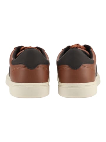 Geox Sneaker BALTMOORE in Cognac