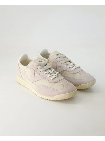 Victoria Sneaker low in Beige