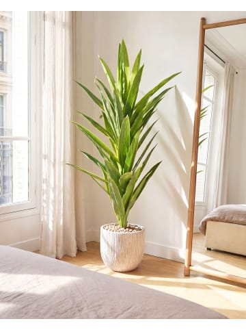 Beliani Kunstpflanze DRACAENA TREE in Grün - (W) 85 x (H) 150 x (L) 85 cm