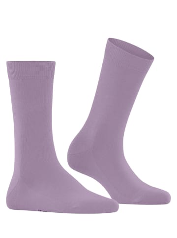 Falke Socken Family in Misty lila