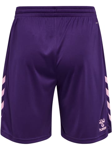 Hummel Shorts Hmlcore Xk Poly Shorts in ACAI