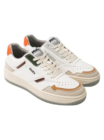 MoEa MoEa in multicolor