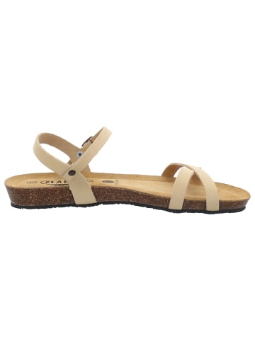 Plakton in beige