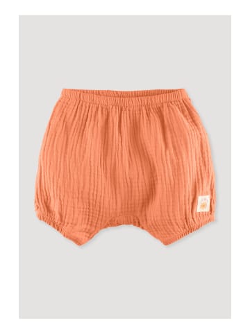 Hessnatur Shorts in clementine