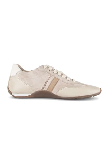 Gabor Sneaker low in beige