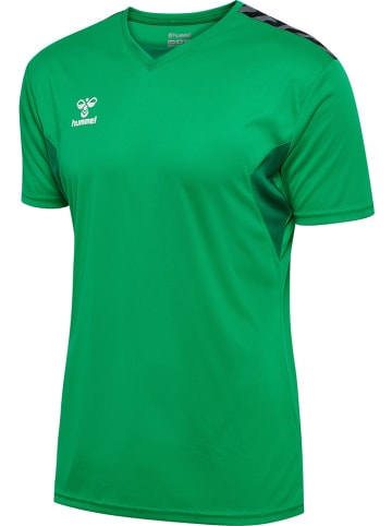 Hummel Sportshirt "Hmlauthentic Pl Jersey S/S" in Multicolor