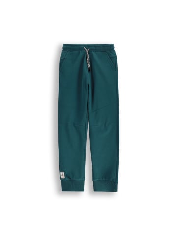 Coccodrillo Jogginghose in grün