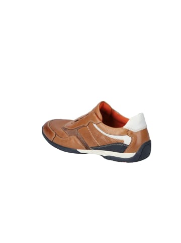 LLOYD Lowtop Sneaker Lloyd BANFIELD in WHISKY/HAVANNA