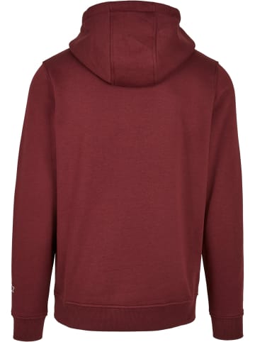 STARTER Sweat & Fleece - Hoodies in oxblood
