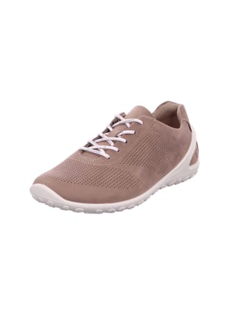 Ecco Schnürschuh Biom Lite in moon rock