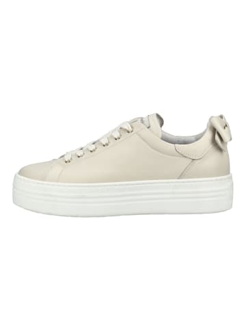 Nero Giardini Sneaker in Beige