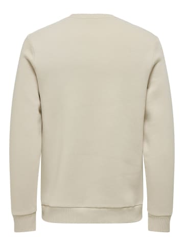 ONLY & SONS Sweatshirt in Silver Lining
