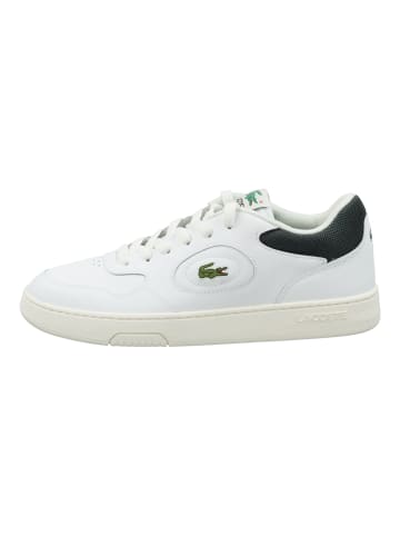 Lacoste Sneaker in Weiß/Grün