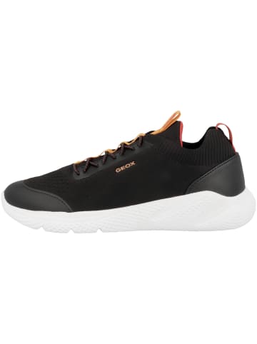 Geox Sneaker low J Sprintye B. A in schwarz