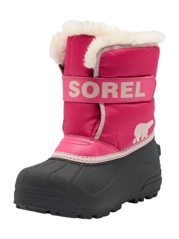 Sorel Stiefel rosa