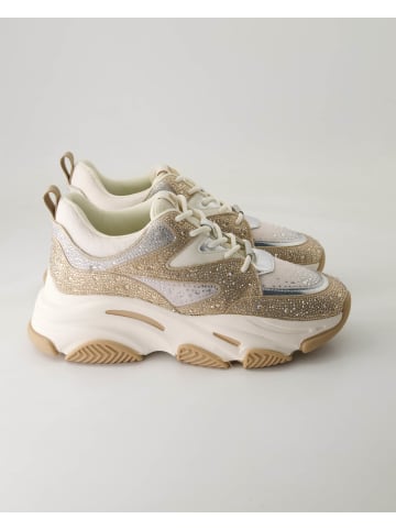 Steve Madden Sportliche Schnürschuhe in Beige