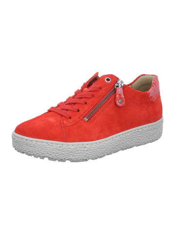 Hartjes Sneaker Low in rot
