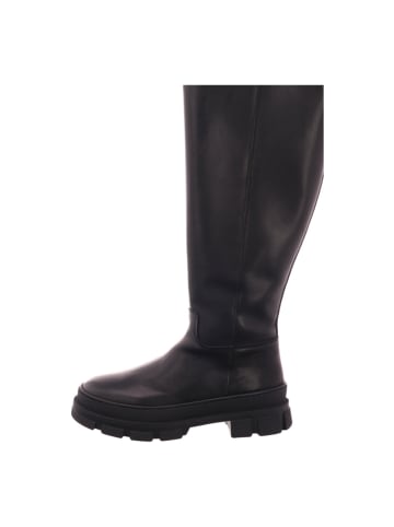 Palpa Damenlangschaftstiefel warm flach  in  Schwarz