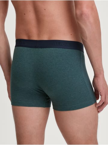 Calida New Boxer in dark glen melé
