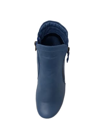 Andrea Conti SHOES Kurzstiefel  in Blau