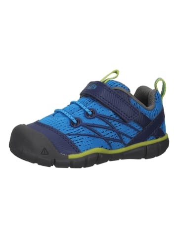 Keen Wanderschuhe in Blau