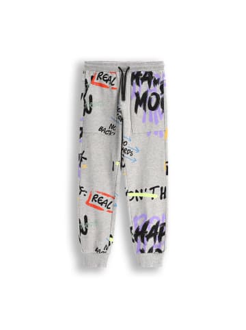 Coccodrillo Jogginghose in grau
