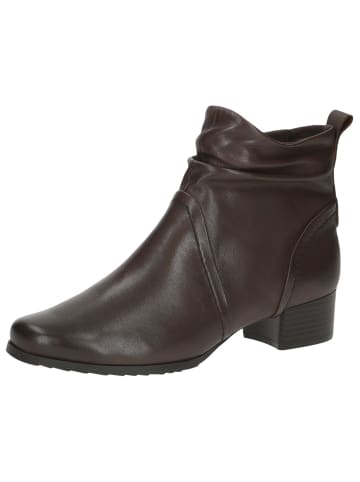 Caprice Stiefelette in DK BROWN NAPPA