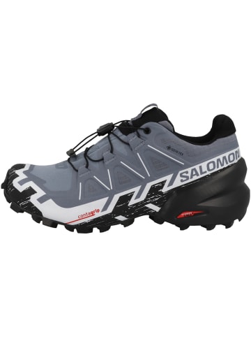 SALOMON Laufschuhe Speedcross 6 GTX in grau