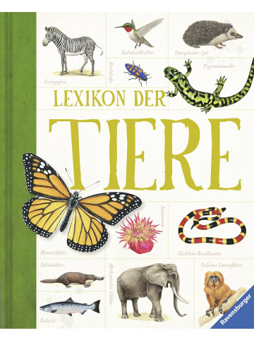 Ravensburger Lexikon der Tiere - Ein Umfangreiches zoologisches Nachschlagewerk für Schule...