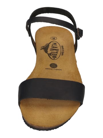 Plakton Sandalen FRAN AMBO 405725 in schwarz