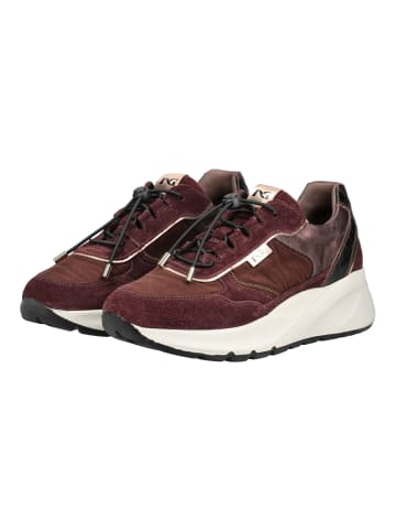 Nero Giardini Sneaker in Bordeaux
