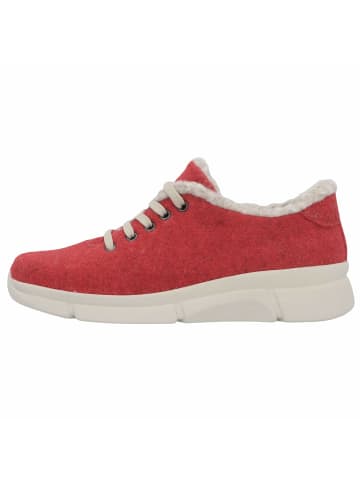 Berkemann Sneaker & Schnürer für Damen in uni