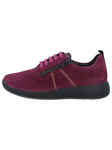 Solidus Damen- Schnürschuhe Halea - Weite H in Rot