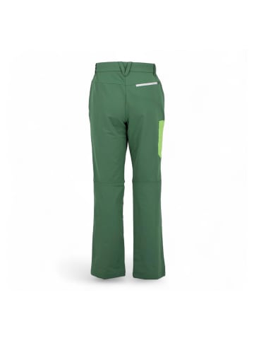 Jack Wolfskin Wanderhose Overland II Nature Tech UV in Grün