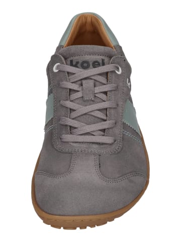 KOEL Sneaker Low ILA SUEDE 3.0 in grau