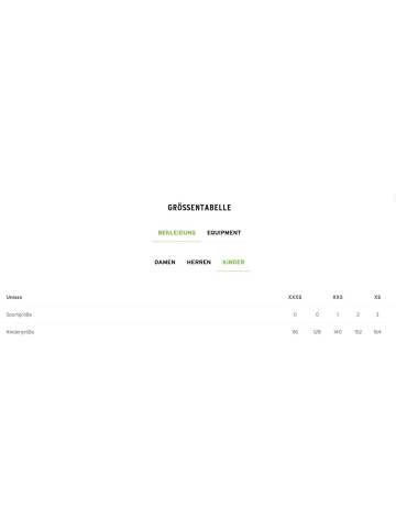 erima Pullover "Celebrate 125 Training Top" in Schwarz