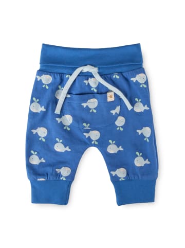 Sigikid Hose Classic Baby in blau