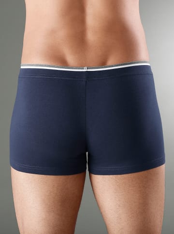 WITT WEIDEN Pants in marine