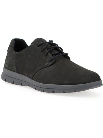 Timberland Sneaker "Graydon" in Schwarz