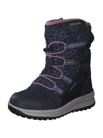 Geox Stiefeletten in NAVY/ROSE