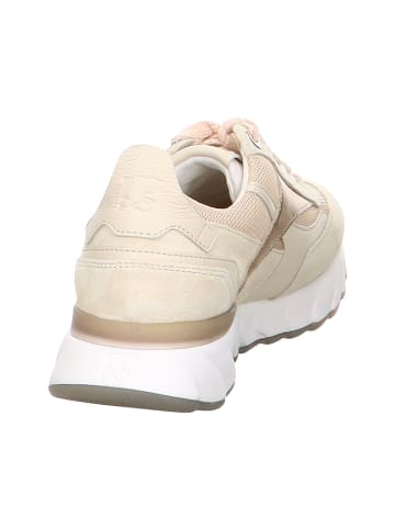 Paul Green Komfort Schnürer für Damen in beige