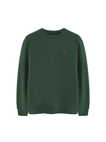 Polo Club Sweatshirt in Grüne Flasche