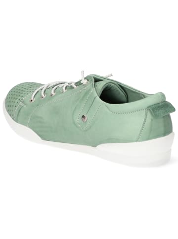 Andrea Conti Schnürhalbschuh in grün