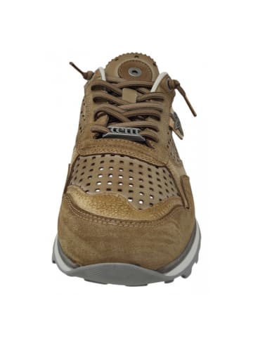 Cetti Sneaker  in Braun