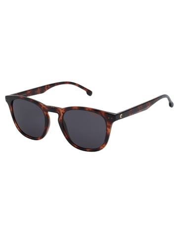 Carrera Sonnenbrille in Brown