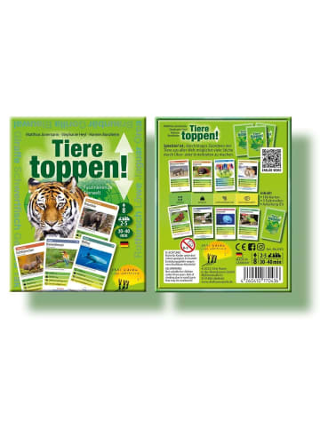 Drei Hasen Abendsonne Tiere toppen! | Faszinierende Tierwelt