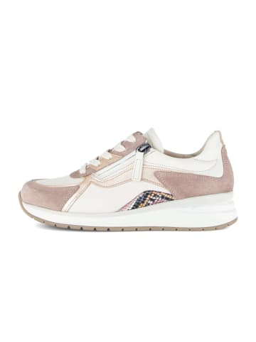 Gabor Sneaker low in multicolour