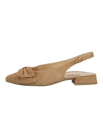 Paul Green Ballerinas in Beige