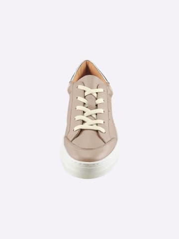 Heine Sneaker in taupe